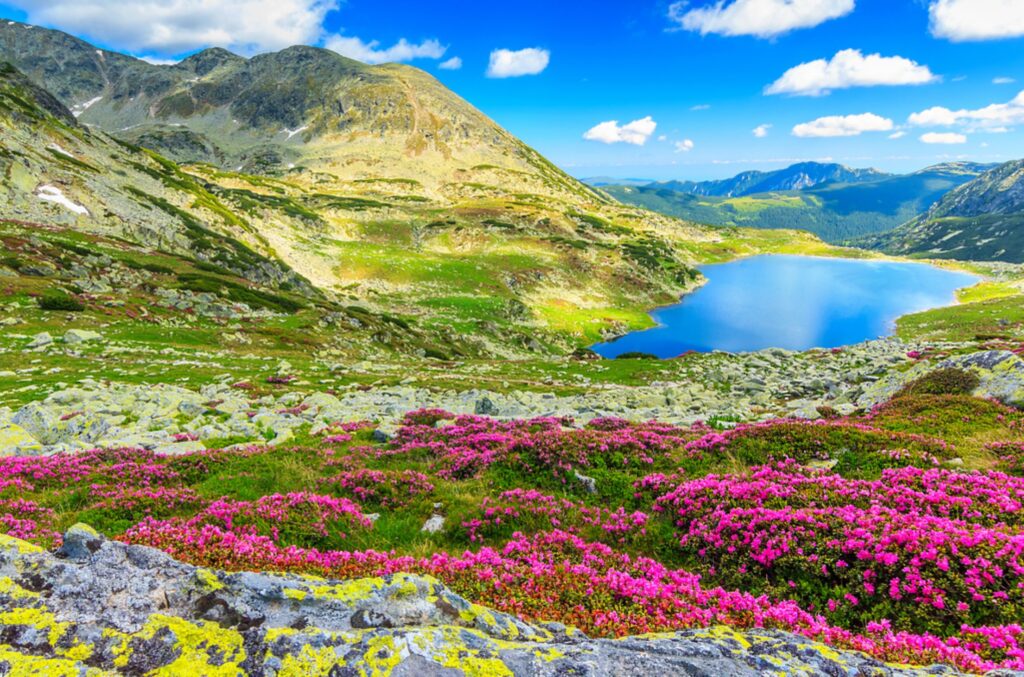 Valley of flower trek