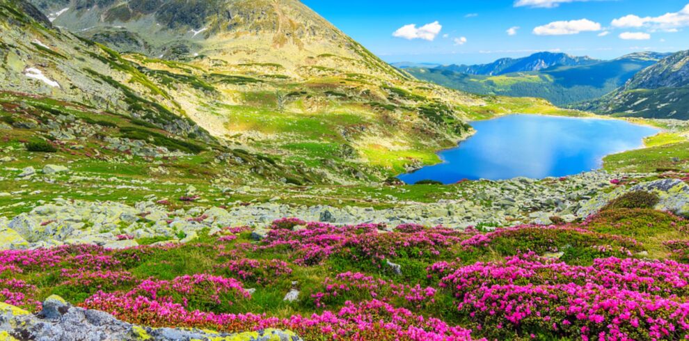 Valley of flower trek